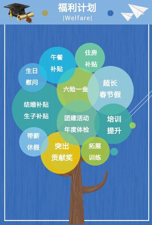 必赢集团bwin